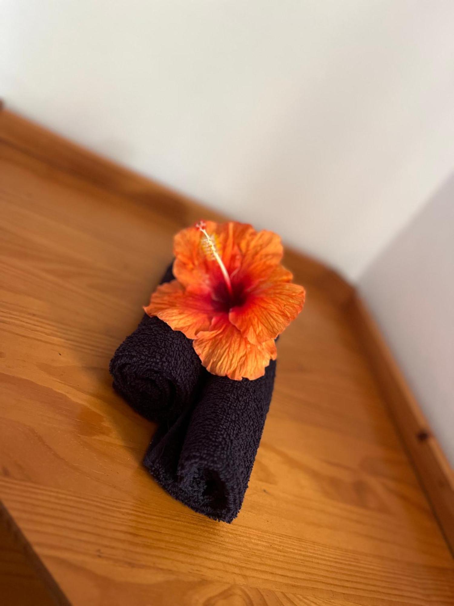 Tiki Lodge Hiva Oa Atuona Dış mekan fotoğraf