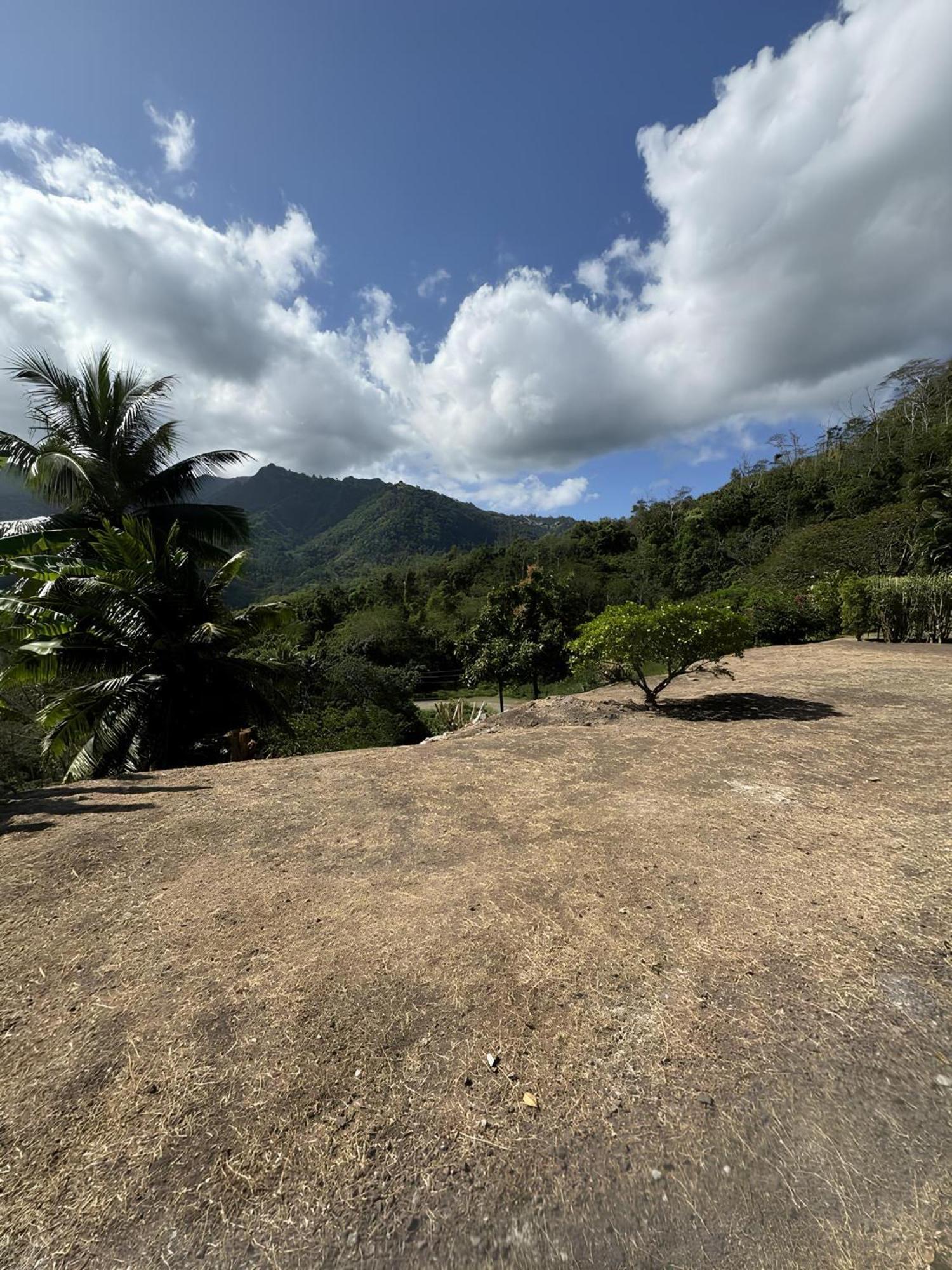 Tiki Lodge Hiva Oa Atuona Dış mekan fotoğraf